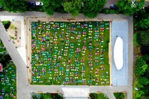 Yoga in the Park at Fitzgerald's Park